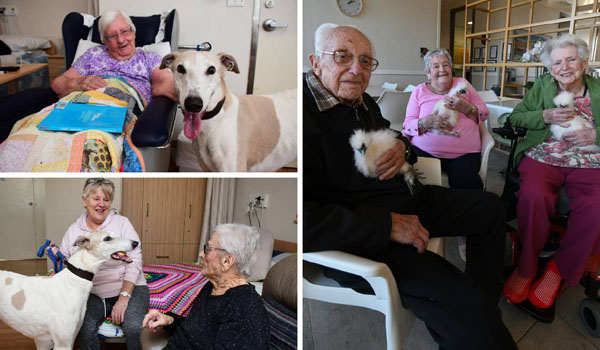 Pets in Aged Care
