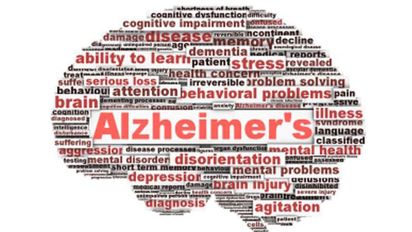 What is Alzheimers Disease?